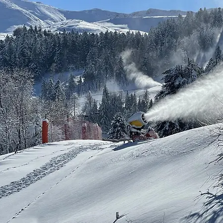 Agreable En Station - Animaux Admis - Fr-1-787-76